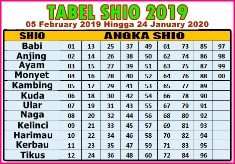 DATA SHIO 2019-2020