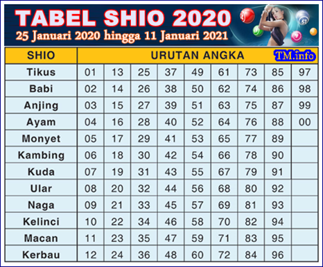 DATA SHIO 2020-2021